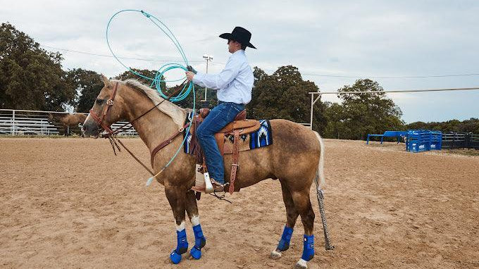 Navajo Horse Blankets - Quick Guide to finding the right size - Mayatex