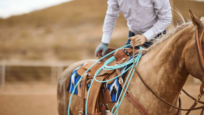 Tradition and Elegance: The Timeless Appeal of Navajo Horse Blankets - Mayatex
