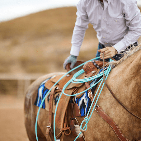 Tradition and Elegance: The Timeless Appeal of Navajo Horse Blankets