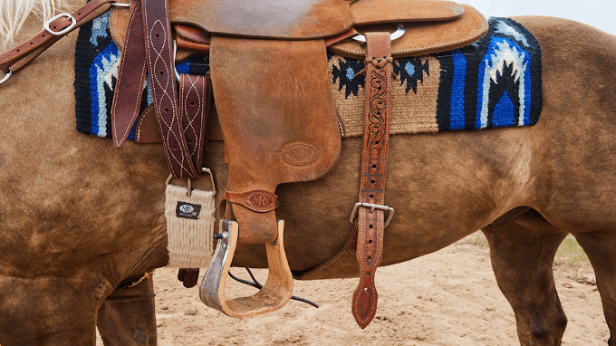 Choosing the Right Seasonal Colors for Aztec/Navajo Style Horse Blankets - Mayatex
