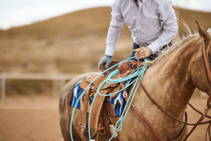 Tradition and Elegance: The Timeless Appeal of Navajo Horse Blankets - Mayatex